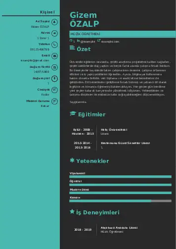 Müzik Öğretmeni Cv Örnekleri cv indir